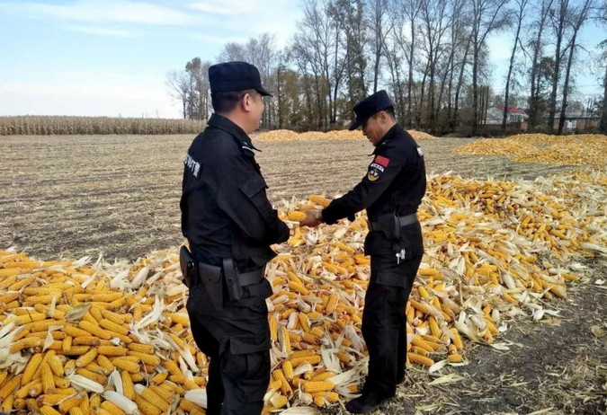 禁燒秸稈走田間、共鑄警魂保藍(lán)天
