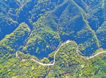 智能化，讓森林防火監(jiān)控管護更“智慧”